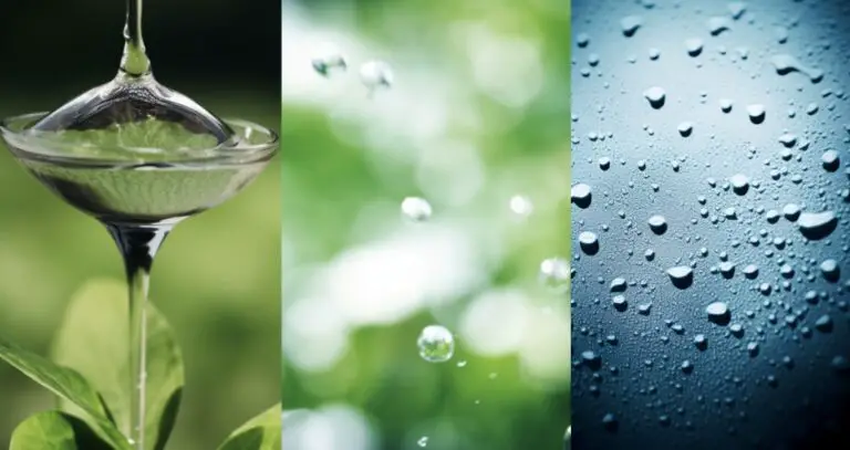 Best Water Sources For Indoor Plants