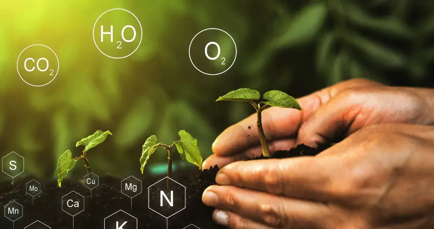 Nutrient Content and Labeling
