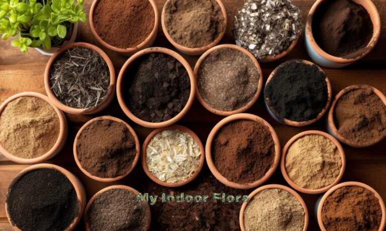 Right Potting Mix For Your Indoor Plants
