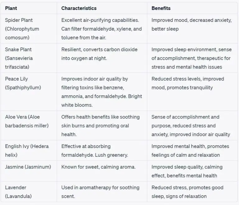 How Indoor Plants Reduce Stress And Boost Mental Health