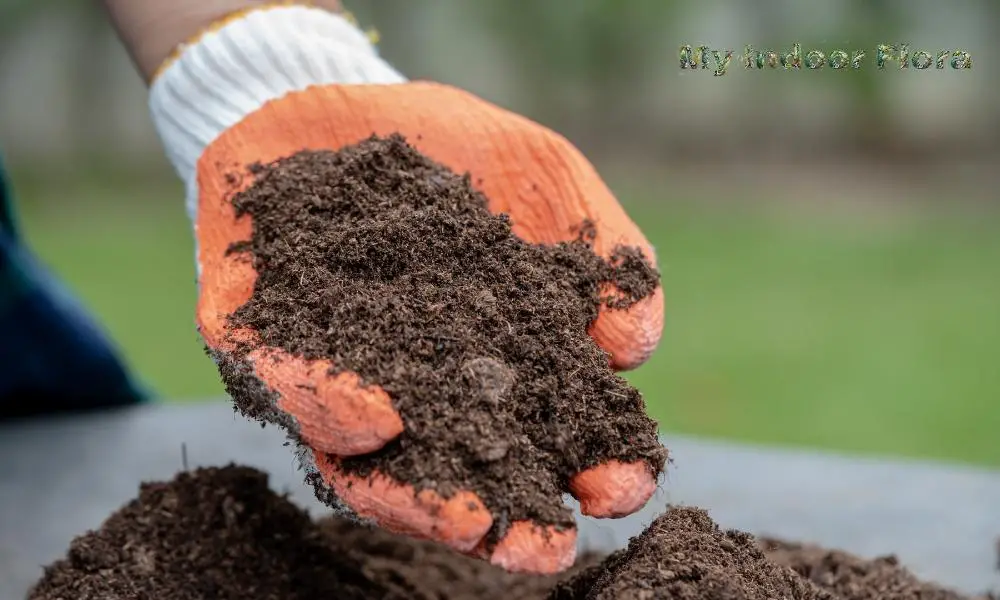 Organic Materials In Soil