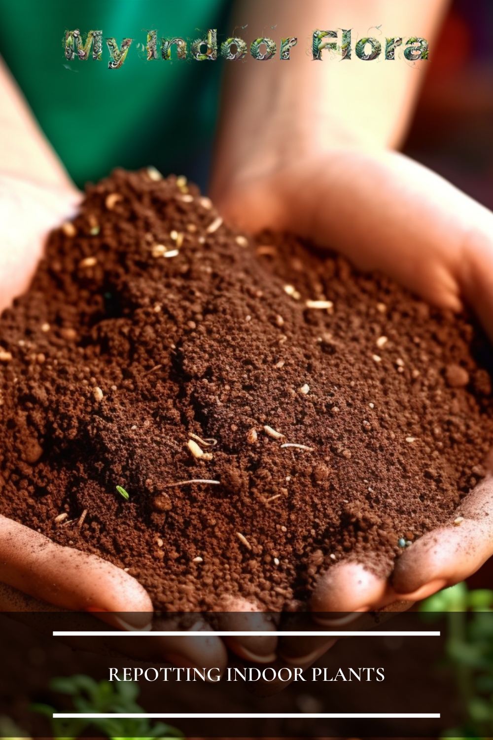 Repotting Visual Deep Dive into WHAT IS THE BEST SOIL FOR REPOTTING INDOOR PLANTS ...