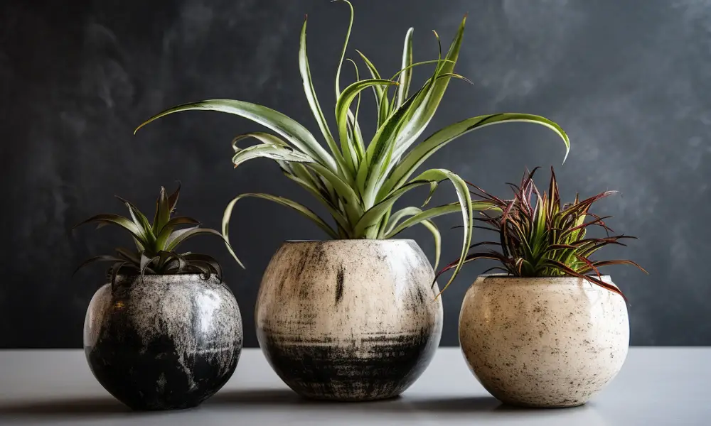 Essential Features To Look For In A Pot