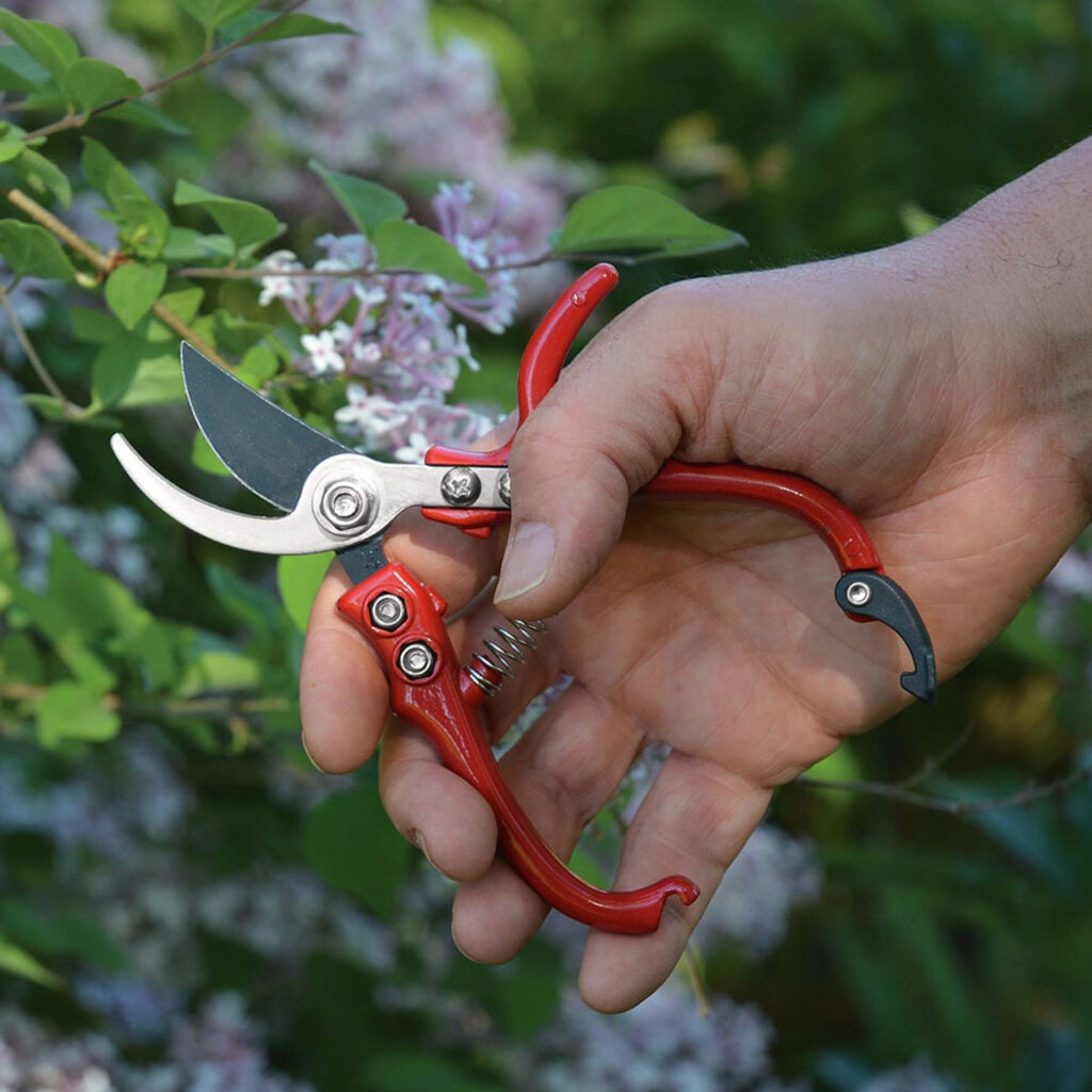 pruner