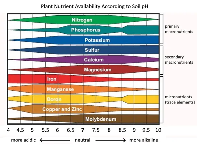 Soil Ph Chart