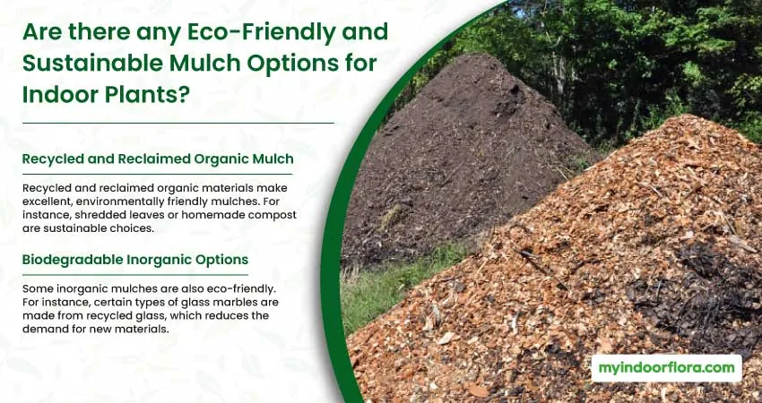 Are There Any Eco Friendly And Sustainable Mulch Options For Indoor Plants