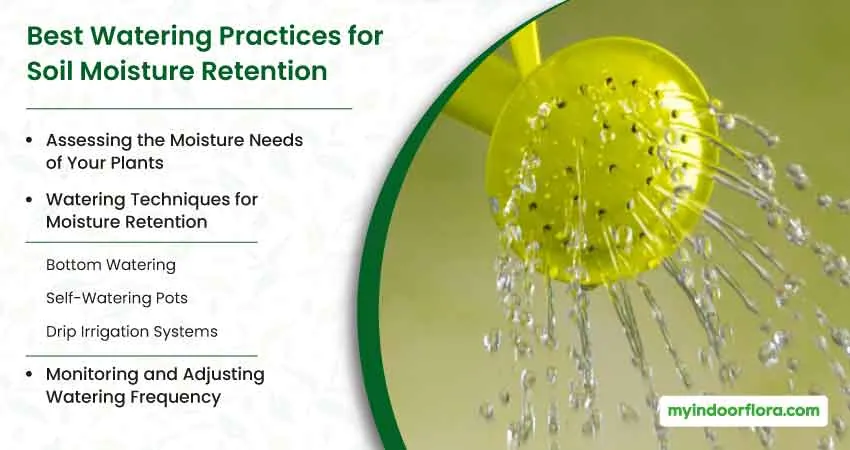 Best Watering Practices For Soil Moisture Retention