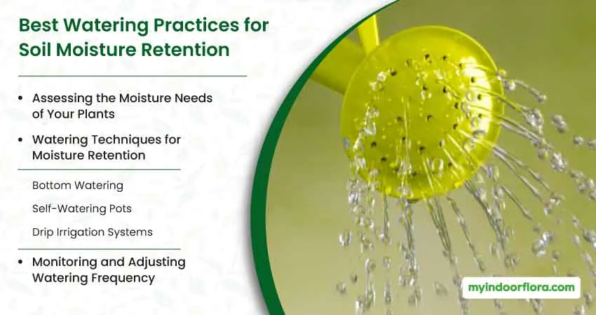 Best Watering Practices for Soil Moisture Retention