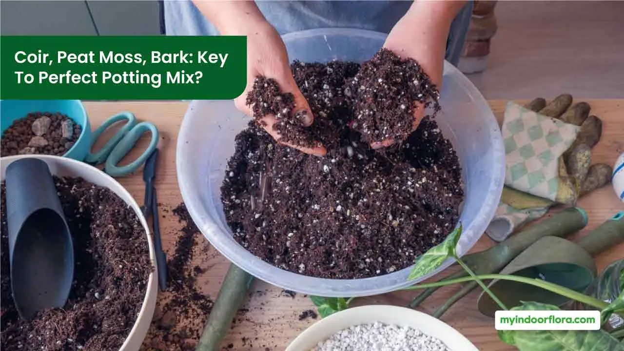 Coir, Peat Moss, Bark: Key To Perfect Potting Mix?