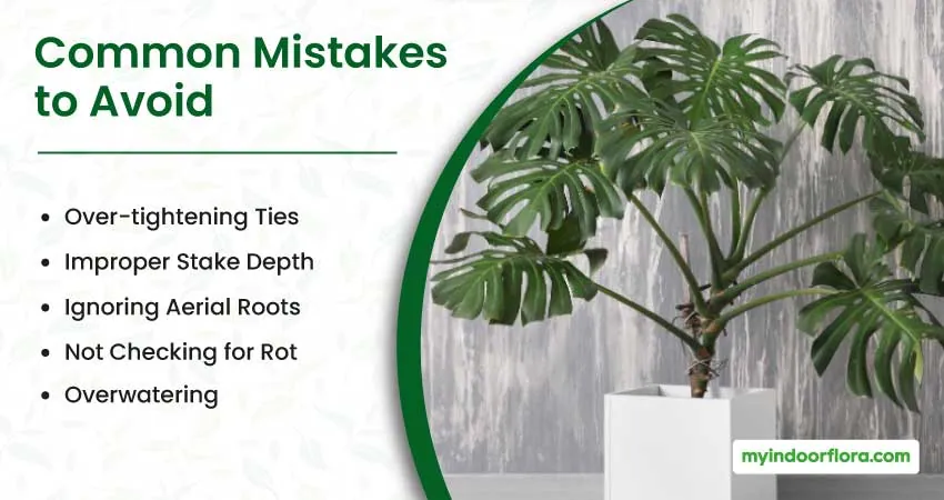 Common Mistakes to Avoid