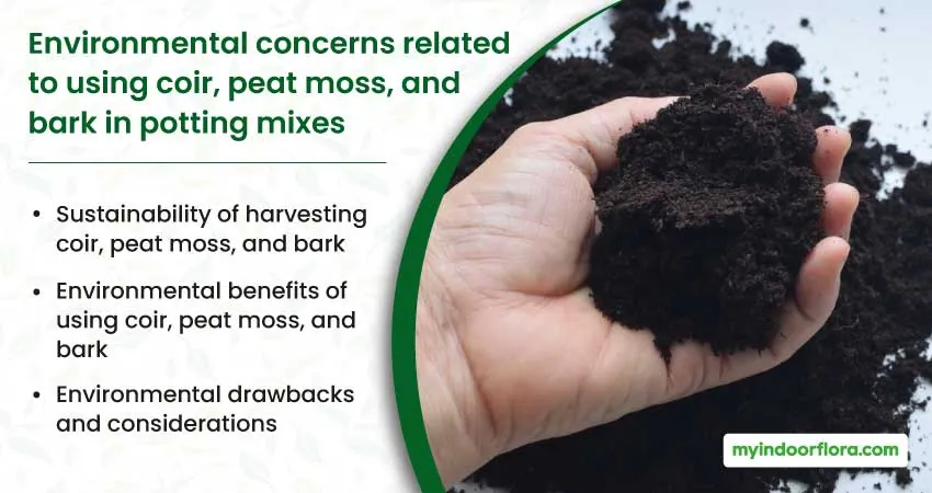 Environmental Concerns Related To Using Coir Peat Moss And Bark In Potting