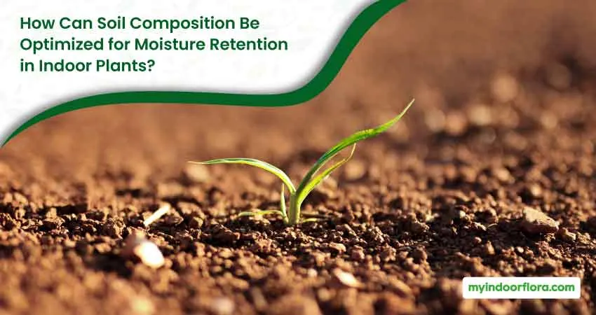 How Can Soil Composition Be Optimized For Moisture Retention In Indoor Plants