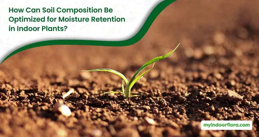 How Can Soil Composition Be Optimized for Moisture Retention in Indoor Plants