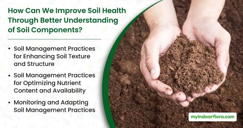 How Can We Improve Soil Health Through Better Understanding Of Soil Components