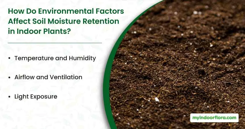 How Do Environmental Factors Affect Soil Moisture Retention In Indoor Plants