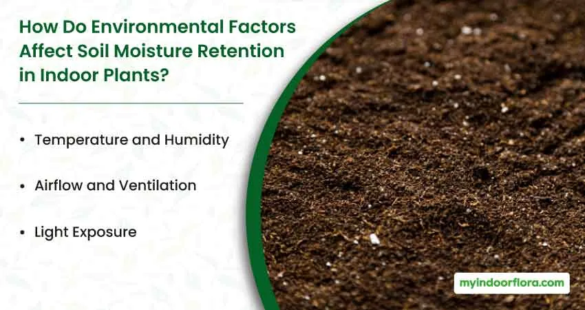 How Do Environmental Factors Affect Soil Moisture Retention in Indoor Plants