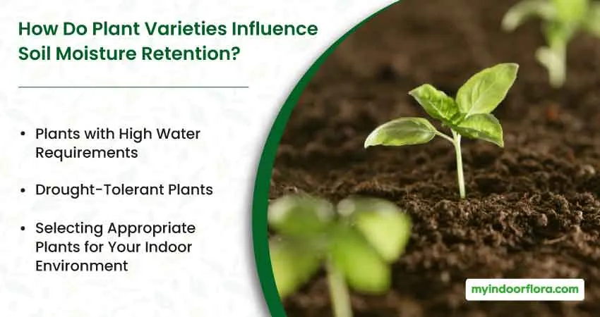 How Do Plant Varieties Influence Soil Moisture Retention