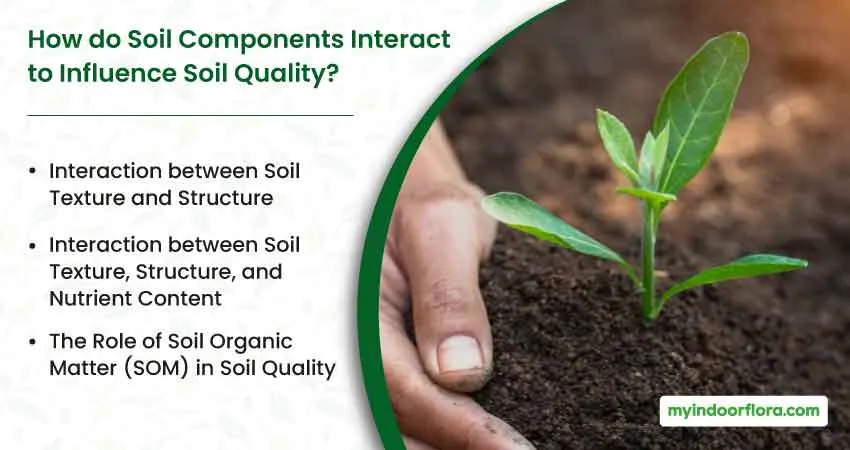 How Do Soil Components Interact To Influence Soil Quality