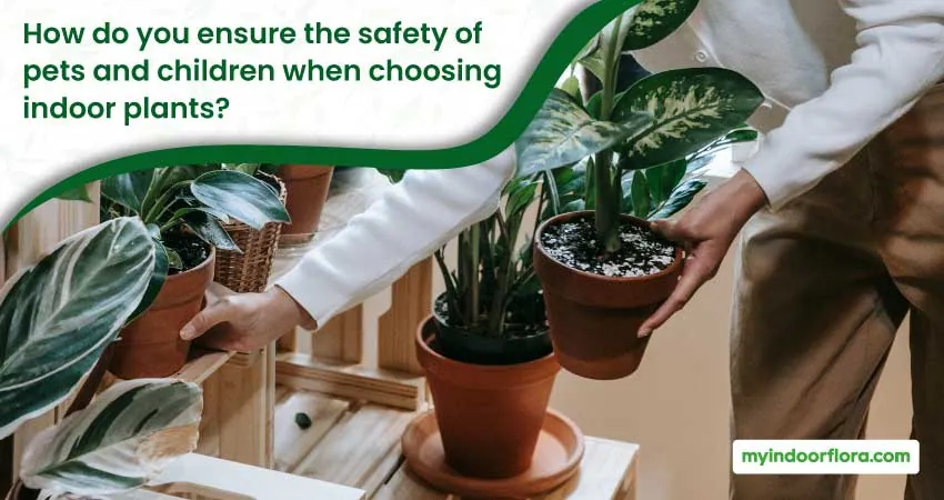 How Do You Ensure The Safety Of Pets And Children When Choosing Indoor Plants