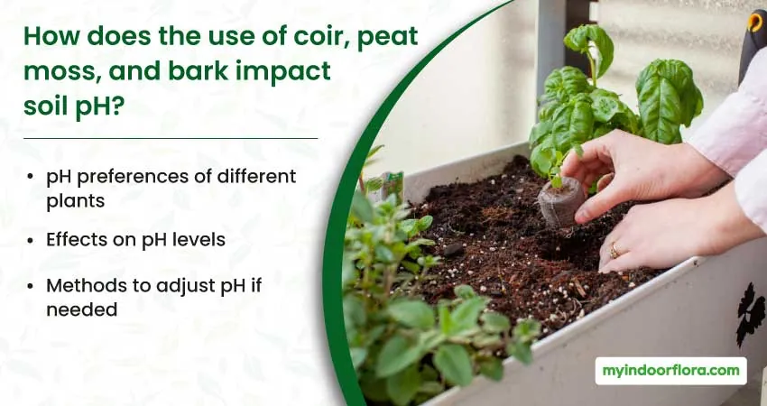 How Does The Use Of Coir Peat Moss And Bark Impact Soil Ph