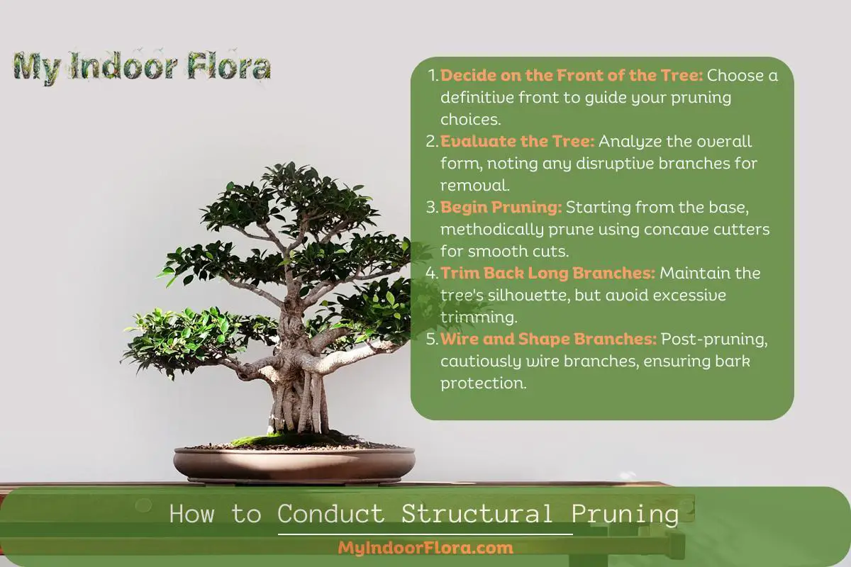 How To Conduct Structural Pruning