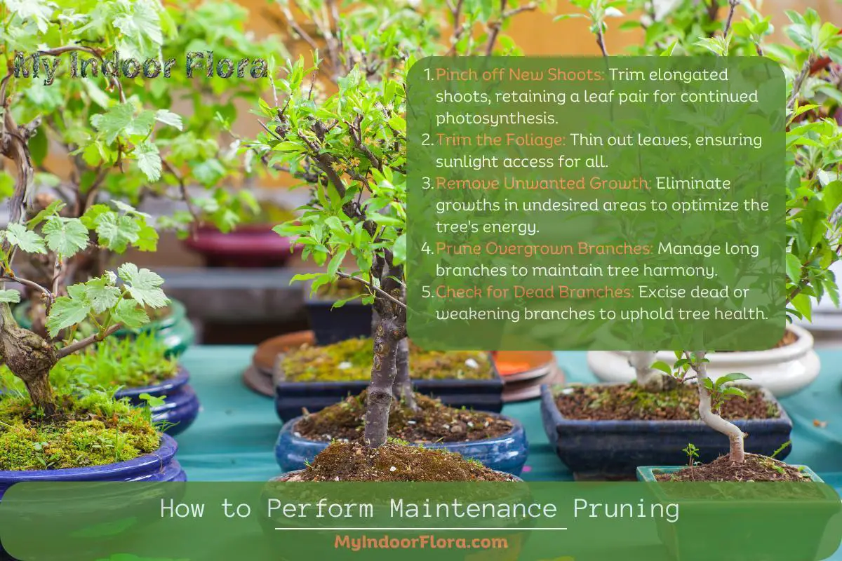 How to Perform Maintenance Pruning