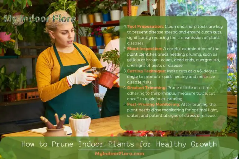 How to Prune Indoor Plants
