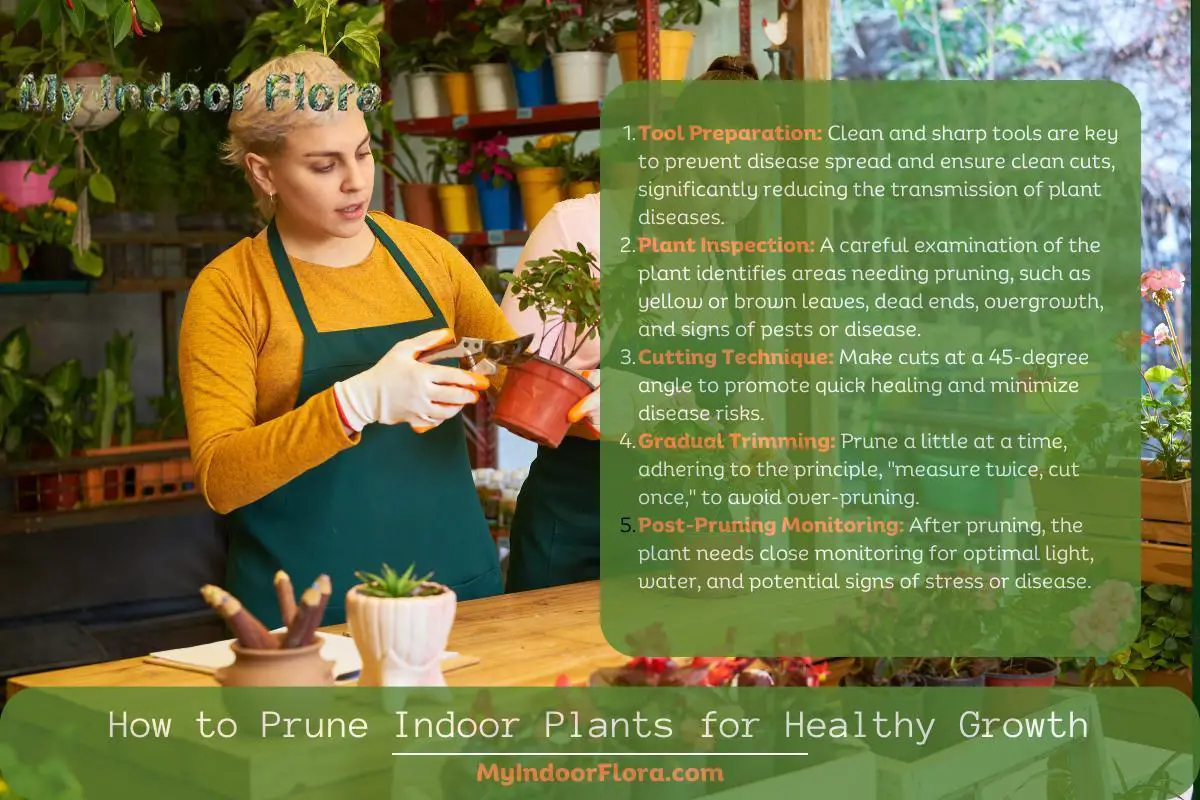 How To Prune Indoor Plants