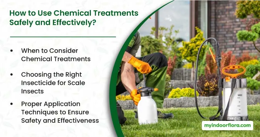 How To Use Chemical Treatments Safely And Effectively