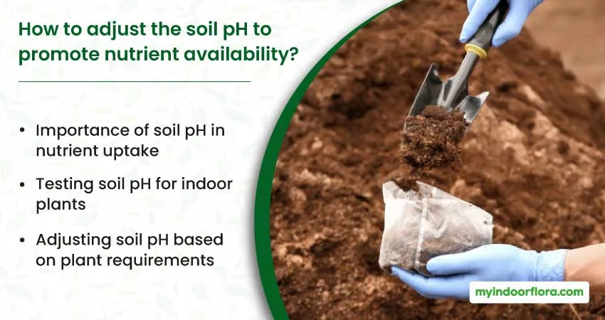 How To Adjust The Soil Ph To Promote Nutrient Availability
