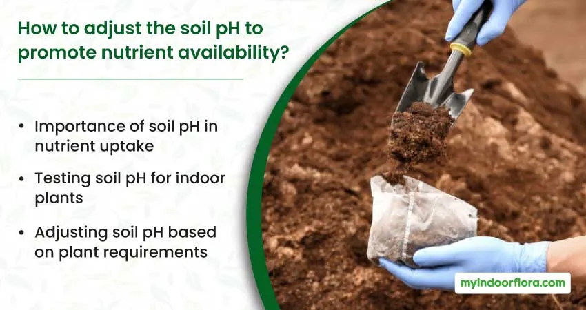 How to adjust the soil pH to promote nutrient availability