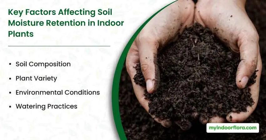 Key Factors Affecting Soil Moisture Retention In Indoor Plants