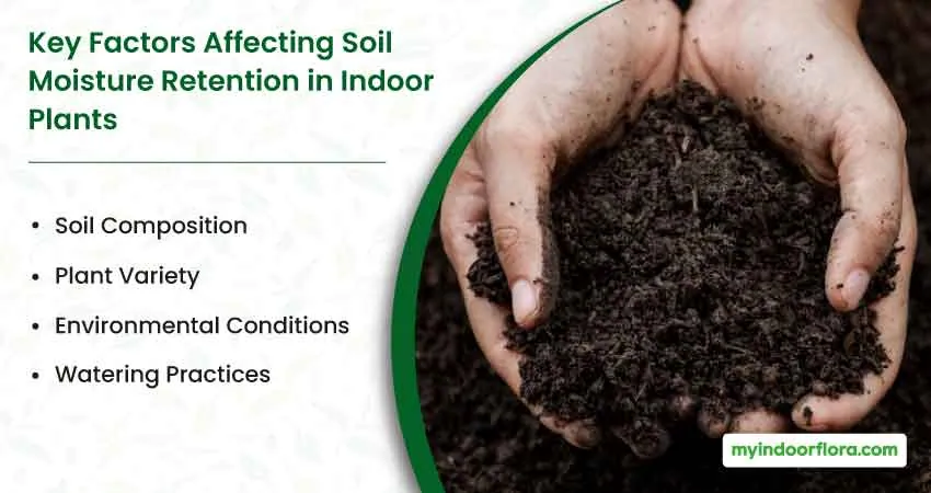 Key Factors Affecting Soil Moisture Retention in Indoor Plants