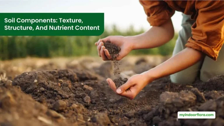 Soil Components Texture, Structure, And Nutrient Content