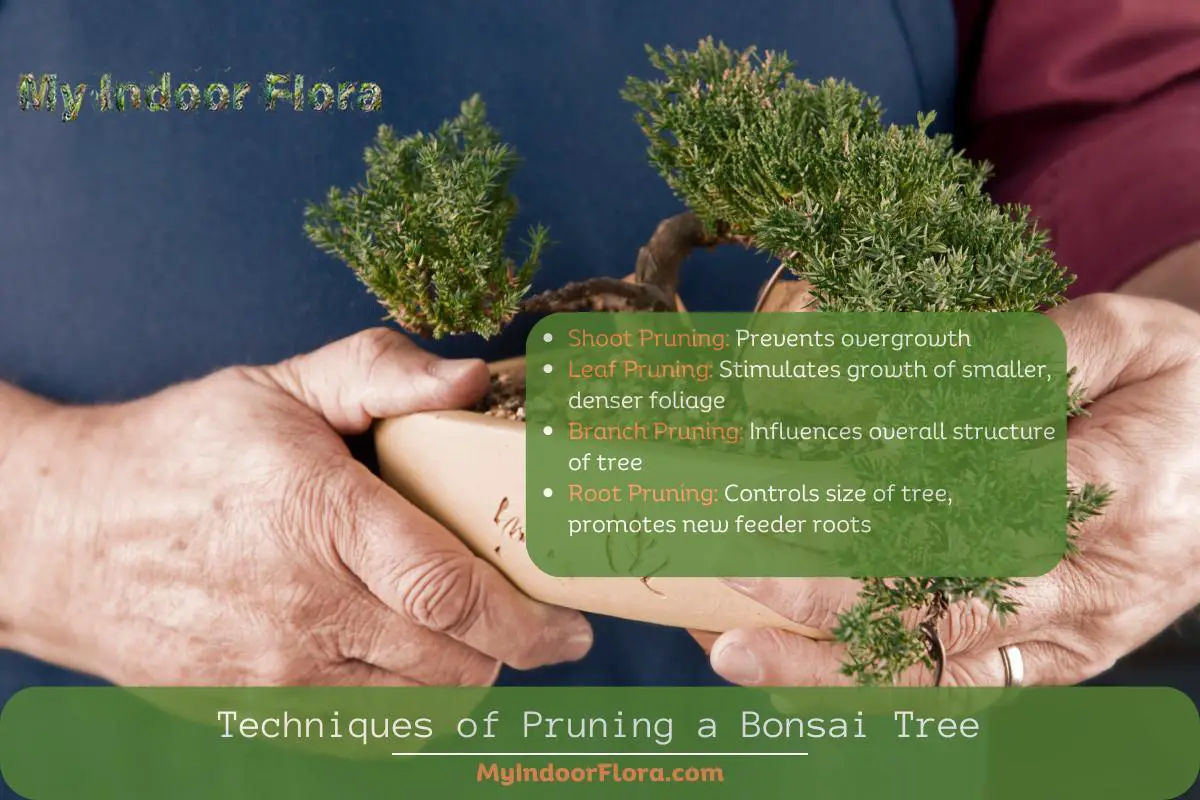 Techniques of Pruning a Bonsai Tree