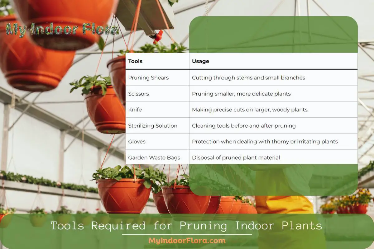 Tools Required for Pruning Indoor Plants