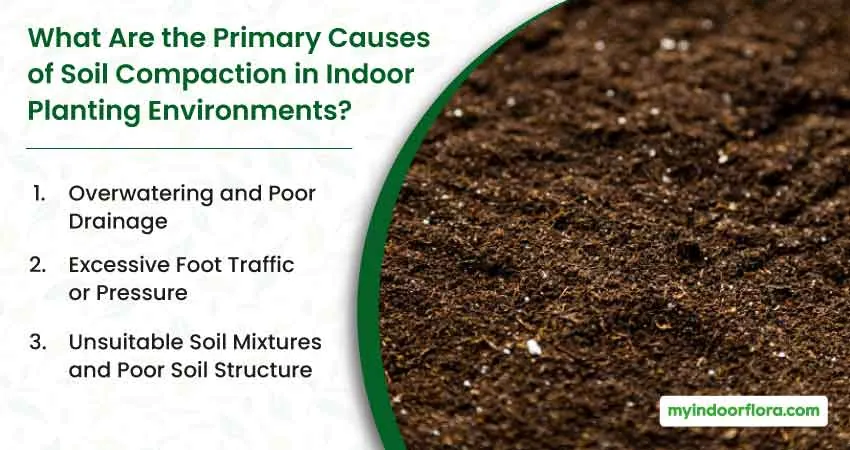 What Are The Primary Causes Of Soil Compaction In Indoor Planting Environments