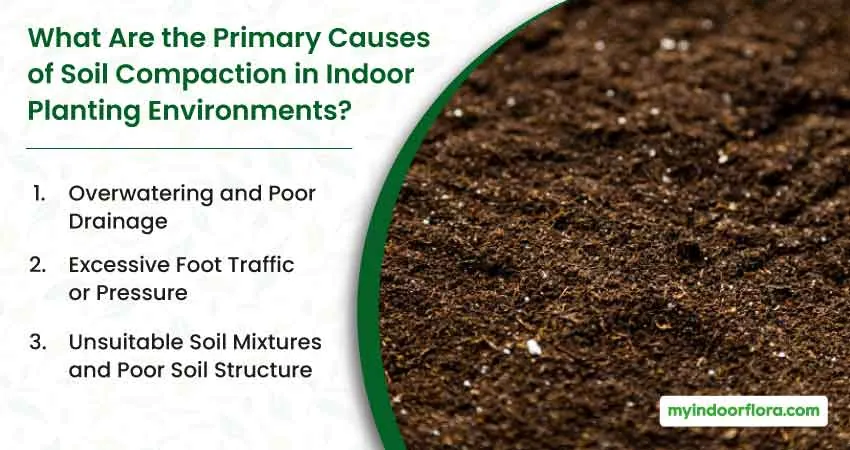 What Are the Primary Causes of Soil Compaction in Indoor Planting Environments