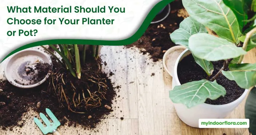 What Material Should You Choose For Your Planter Or Pot