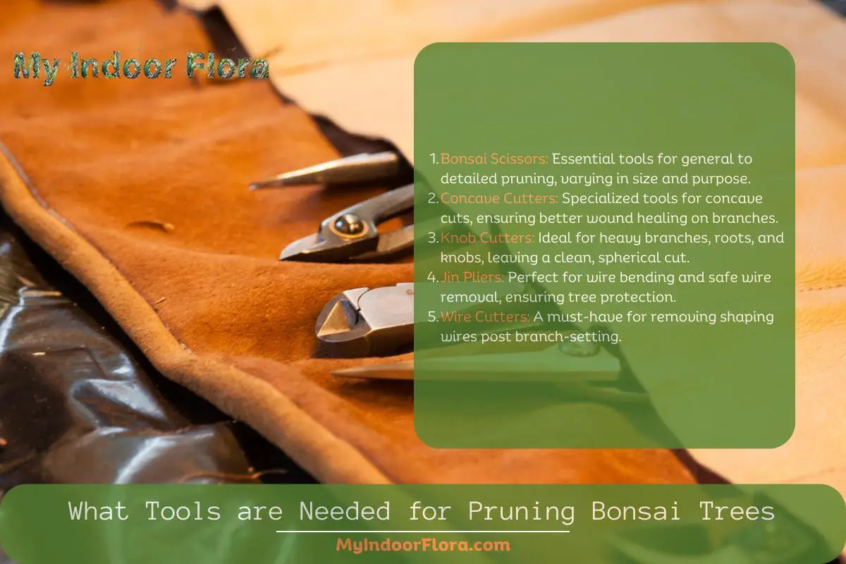 What Tools Are Needed For Pruning Bonsai Trees