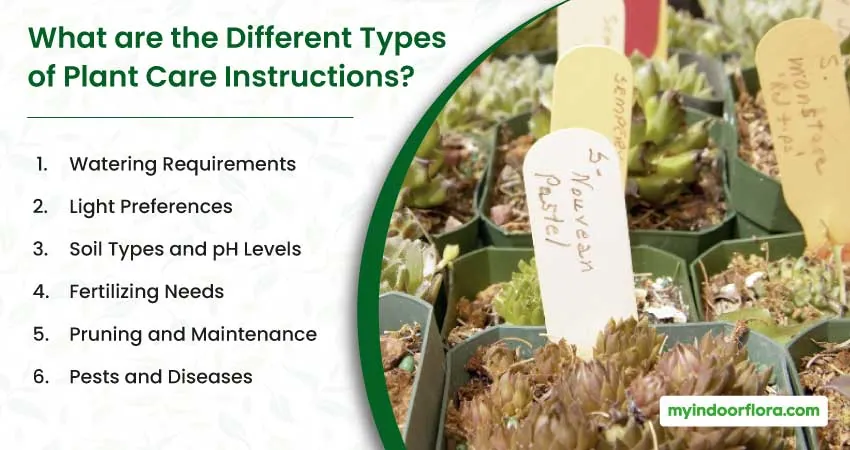 What are the Different Types of Plant Care Instructions