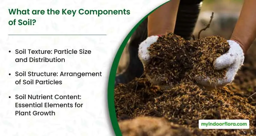 What Are The Key Components Of Soil