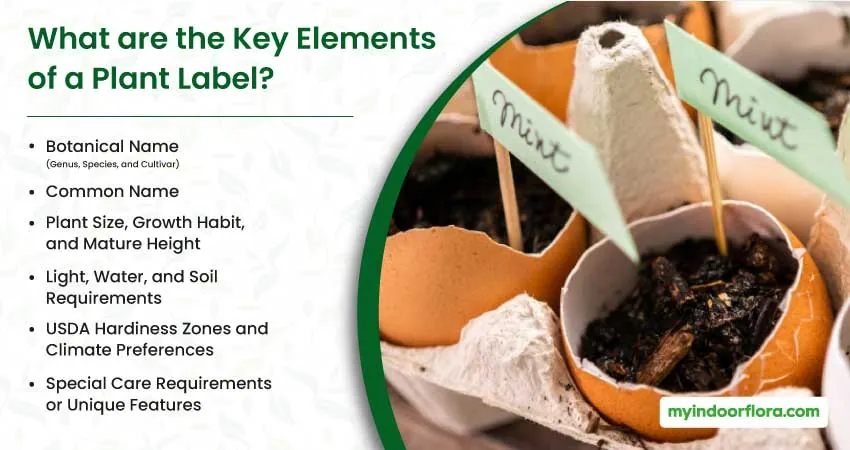 What are the Key Elements of a Plant Label