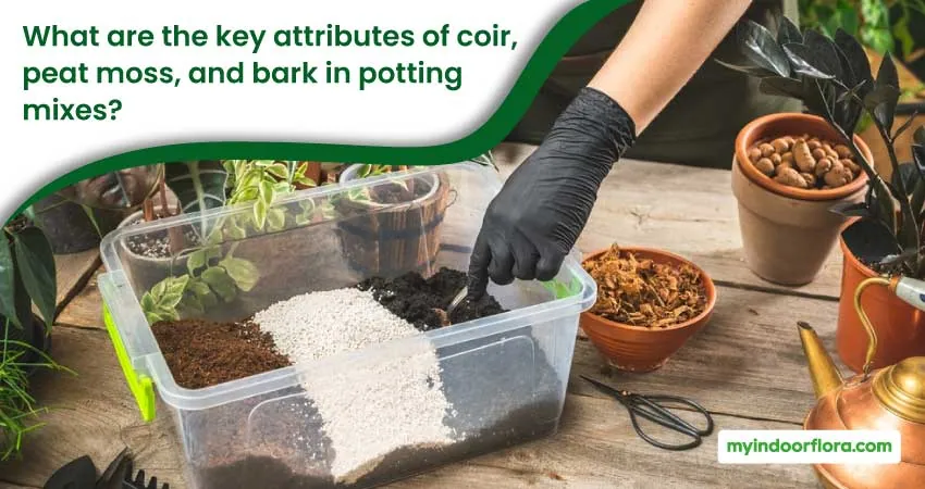 What Are The Key Attributes Of Coir Peat Moss And Bark In Potting