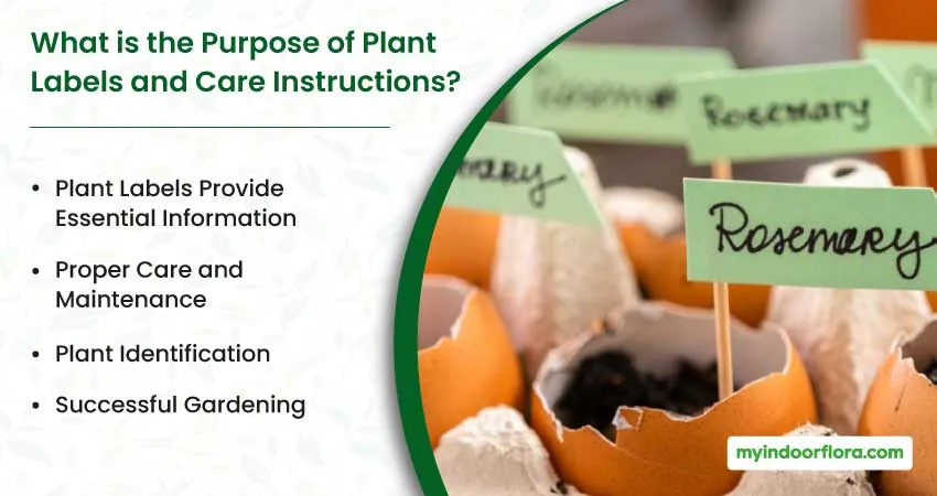 What is the Purpose of Plant Labels and Care Instructions