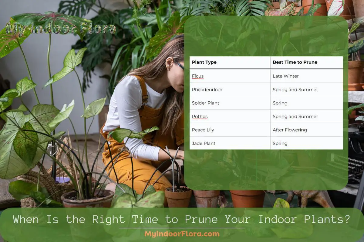 When Is The Right Time To Prune Your Indoor Plants