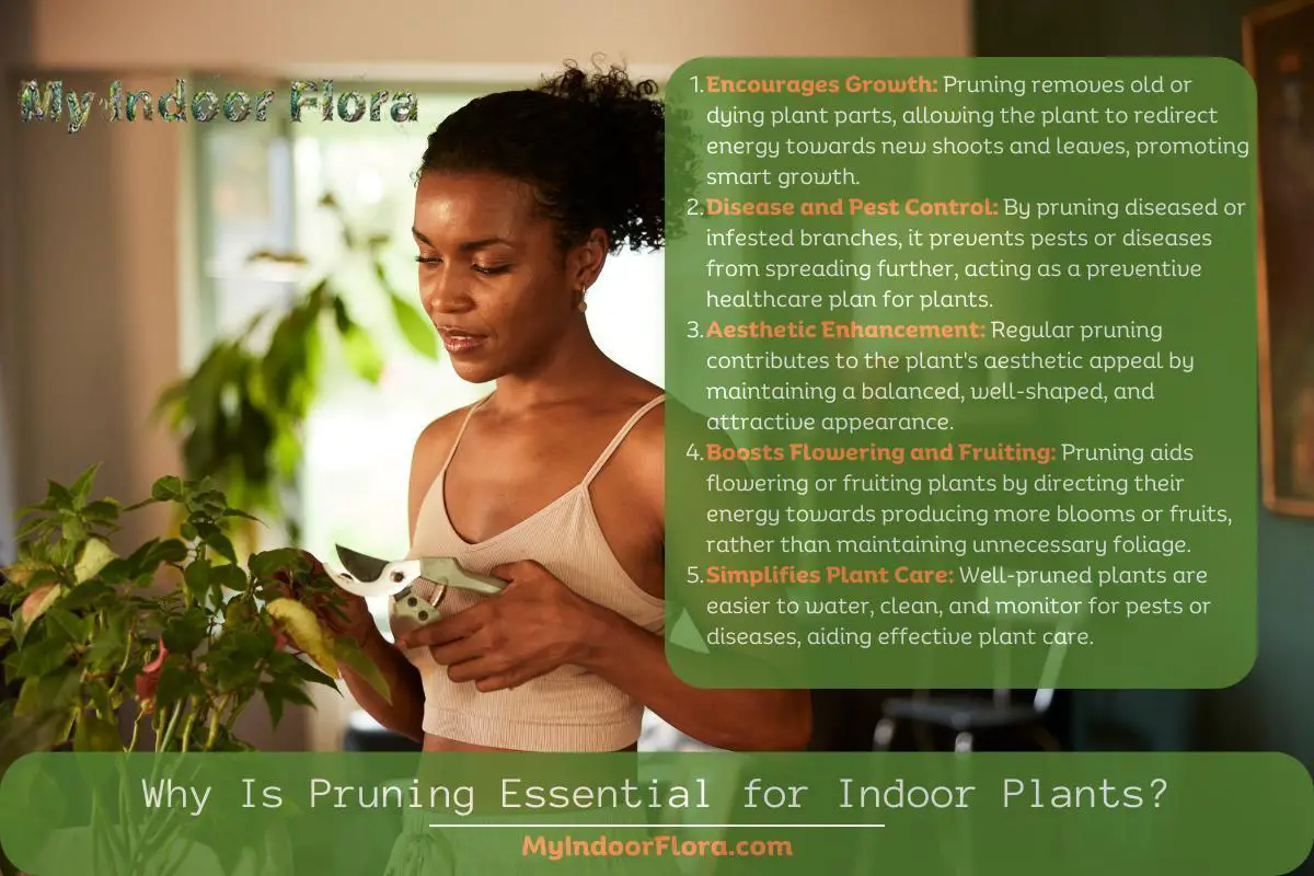 Why Is Pruning Essential For Indoor Plants
