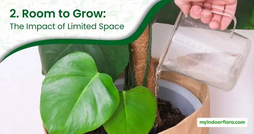 2. Room to Grow The Impact of Limited Space