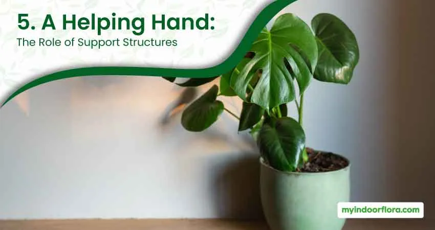 5. A Helping Hand The Role of Support Structures