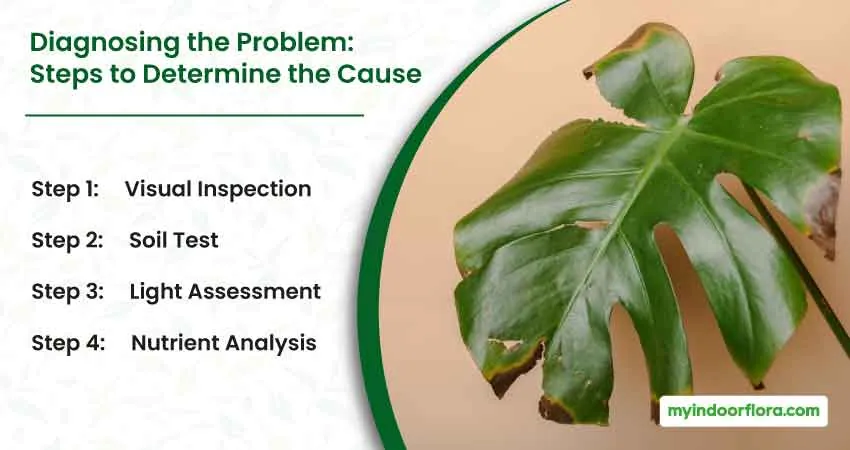 Diagnosing the Problem Steps to Determine the Cause